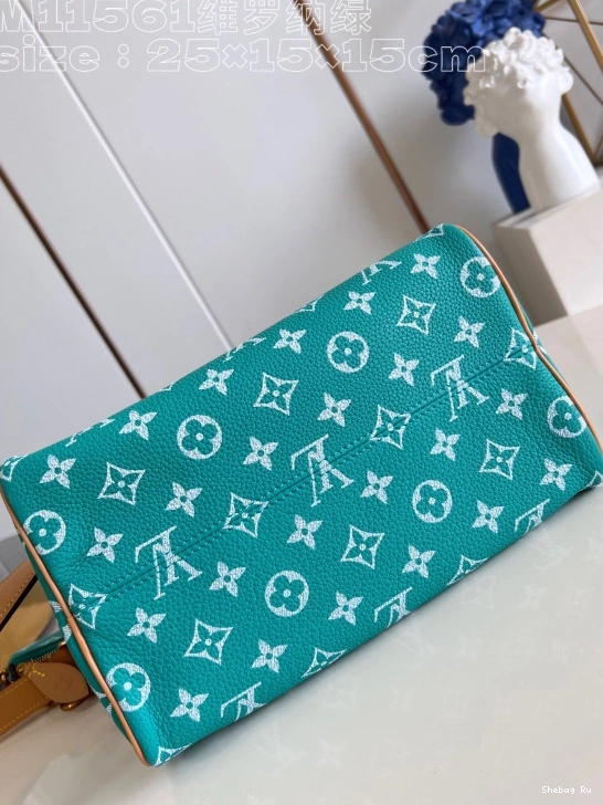 Vuitton 25 SPEEDY Louis 0810